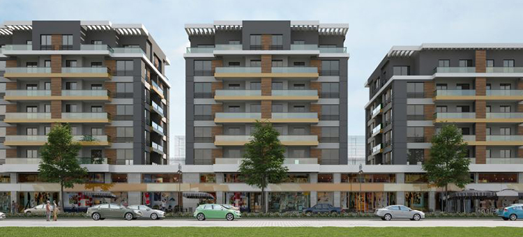 Project image 23