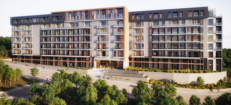 Project image 19