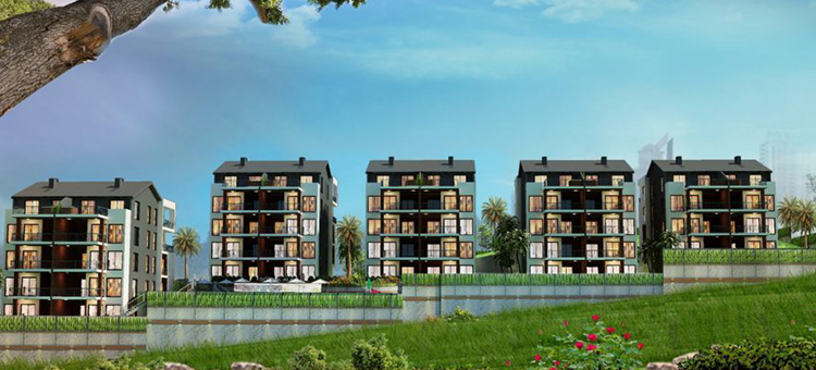 Project image 11