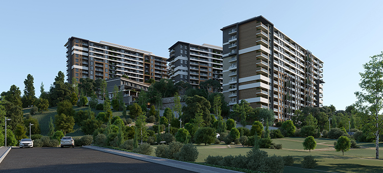 Project image 19