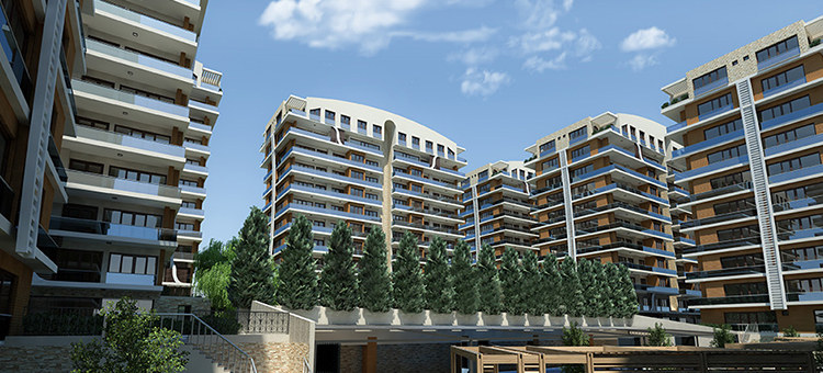 Project image 15
