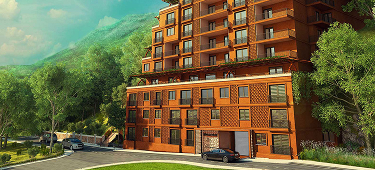 Project image 13