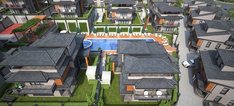 Project image 13
