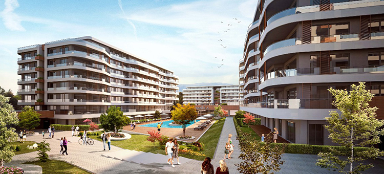 Project image 13
