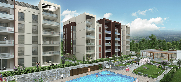 Project image 13