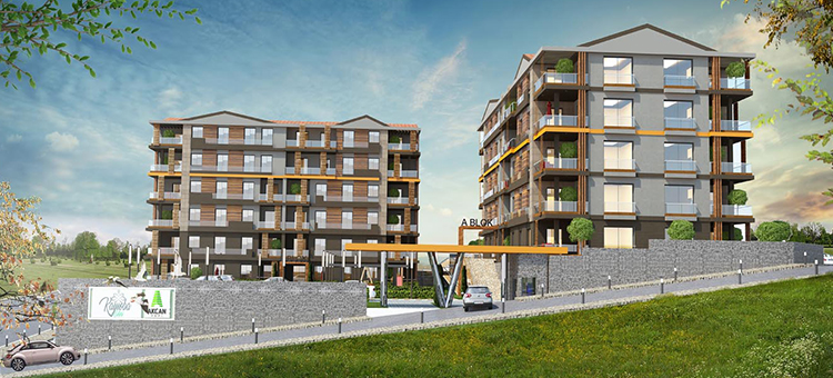 Project image 13