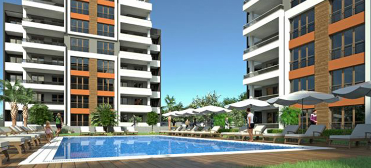 Project image 14