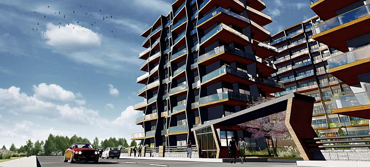 Project image 12