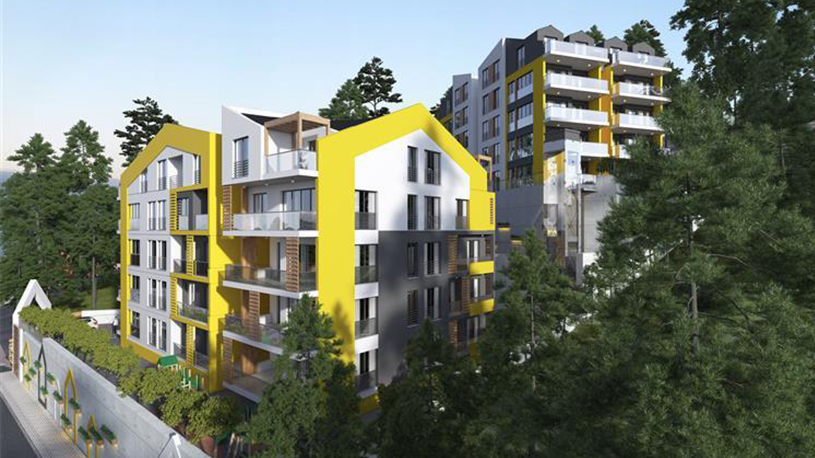 Project image 16
