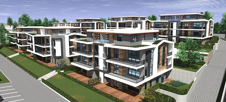 Project image 11