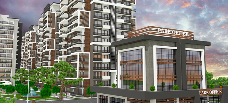 Project image 14