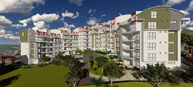 Project image 12