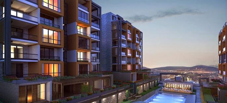 Project image 13
