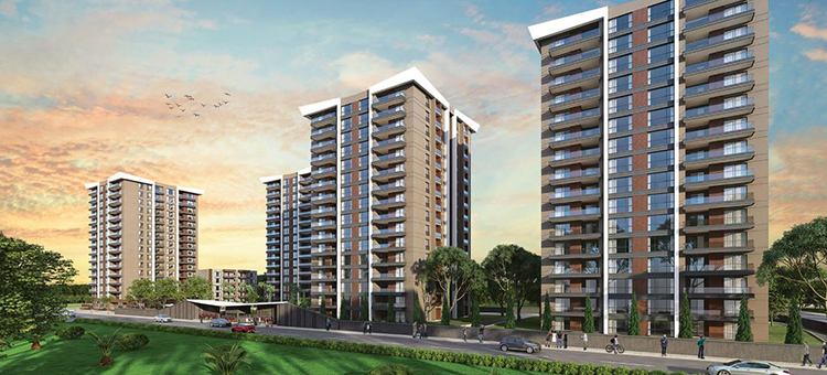Project image 9
