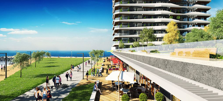 Project image 15