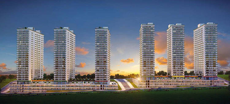 Project image 13