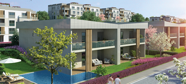 Project image 12
