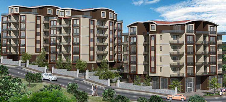 Project image 11