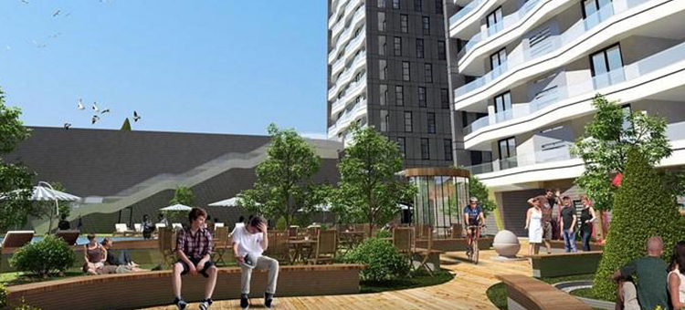 Project image 12