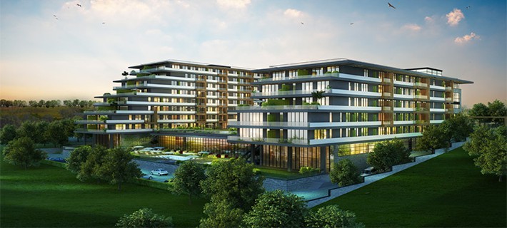 Project image 13