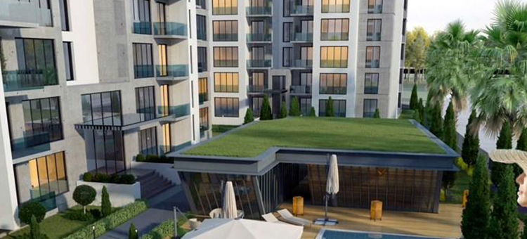 Project image 11