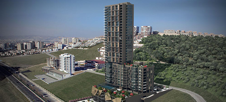 Project image 15