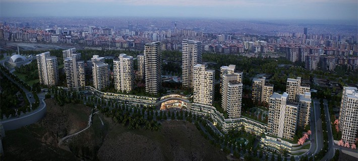 Project image 21