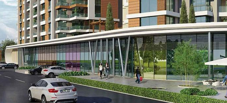 Project image 10