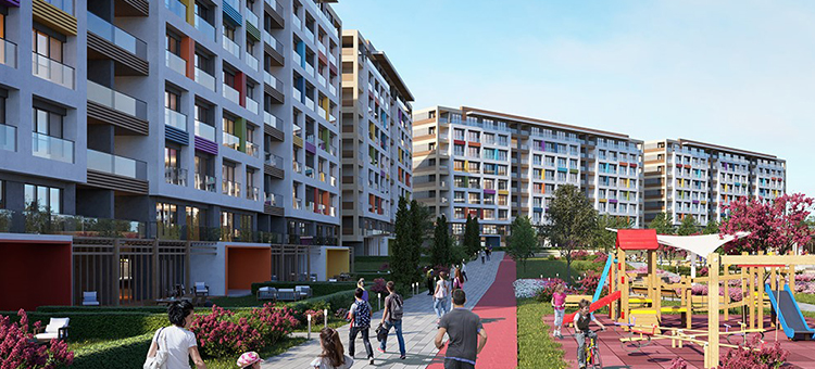 Project image 9