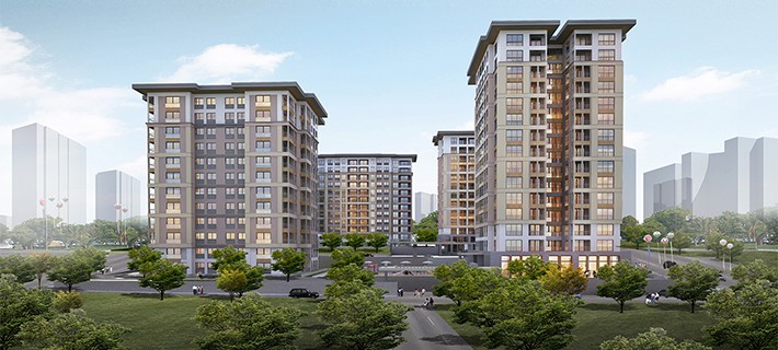 Project image 10