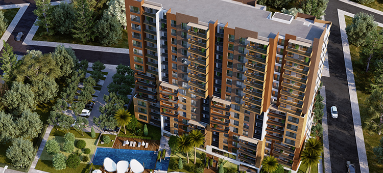 Project image 13