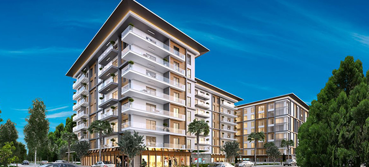 Project image 15