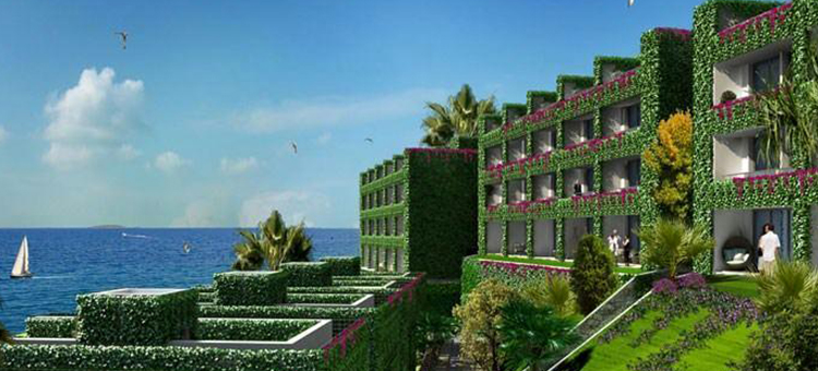 Project image 19