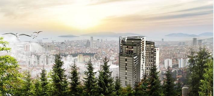 Project image 14