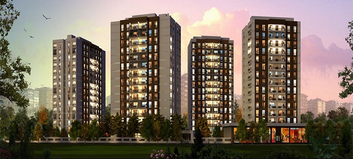 Project image 14