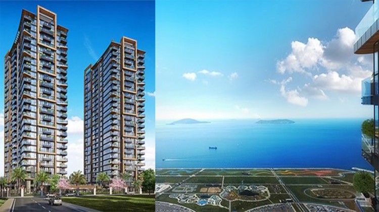 Project image 9