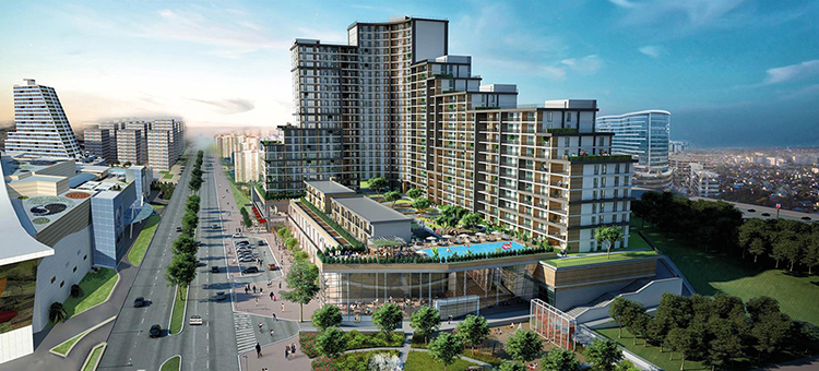 Project image 13
