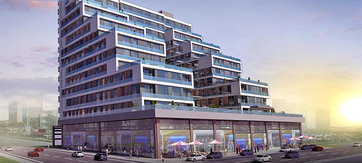 Project image 9