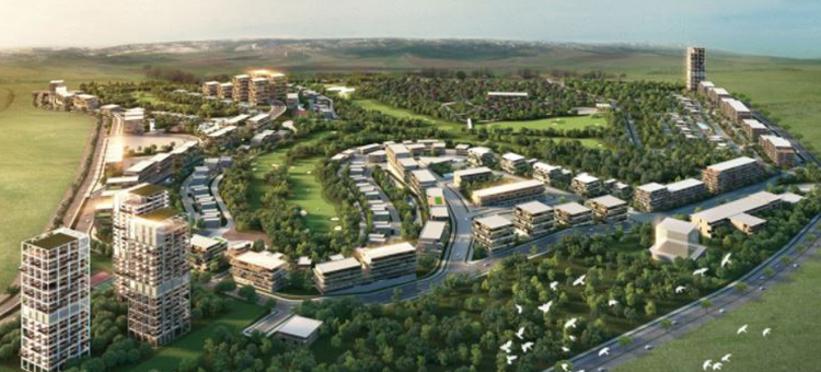 Project image 13