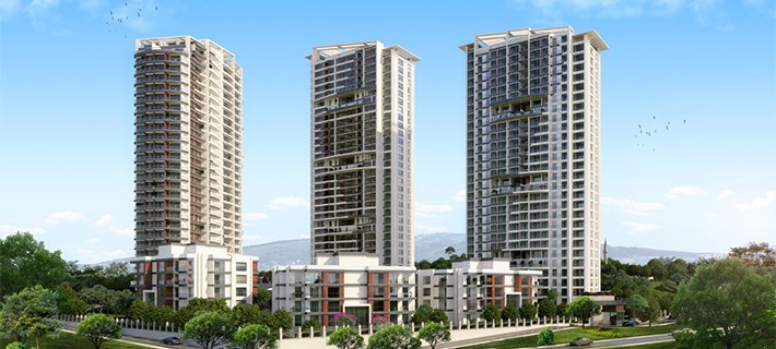 Project image 17