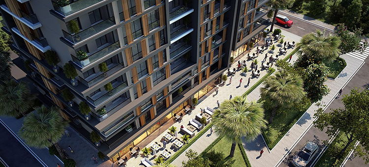 Project image 15