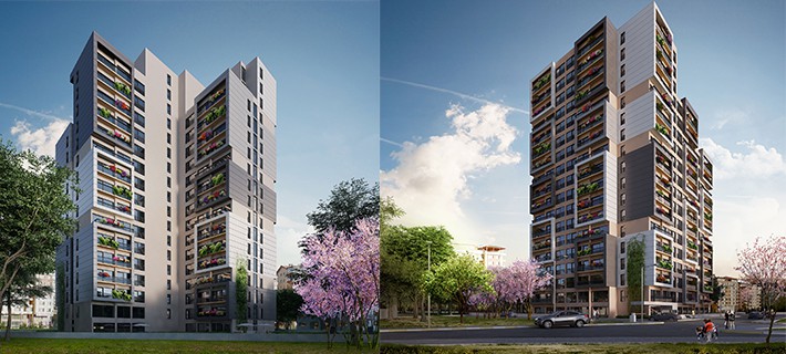 Project image 11
