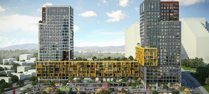 Project image 13
