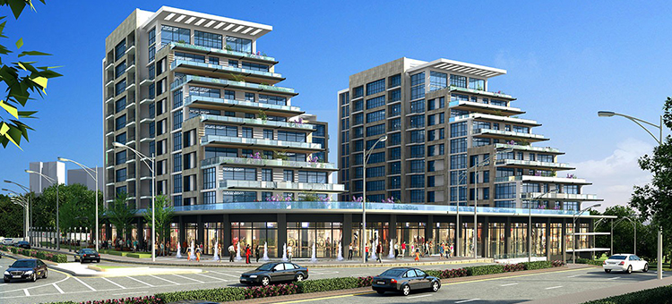 Project image 13