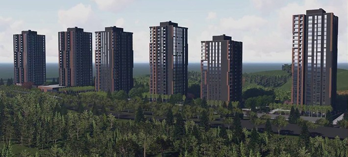 Project image 11