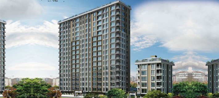 Project image 15