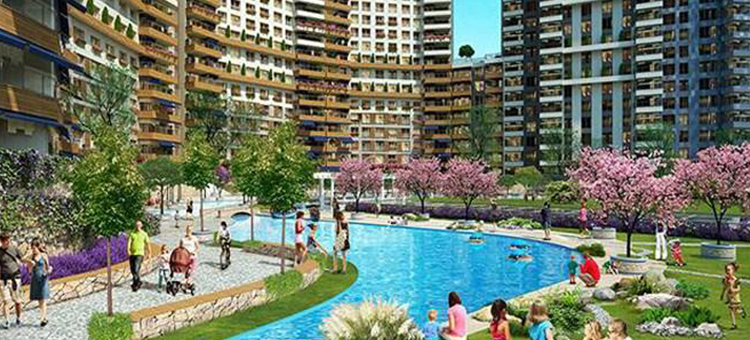 Project image 25