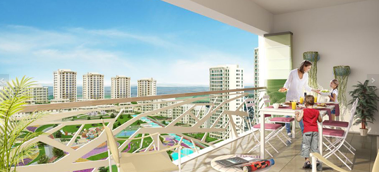 Project image 10