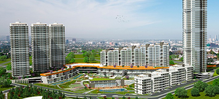 Project image 21
