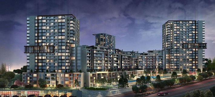 Project image 11